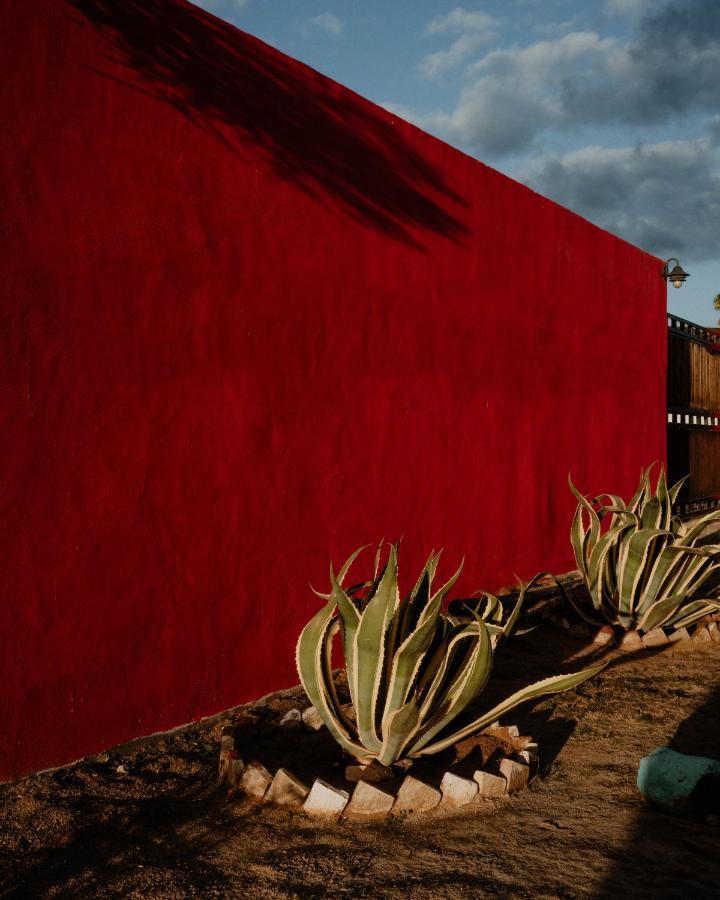Cabana R Y A Valle De Guadalupe Kültér fotó