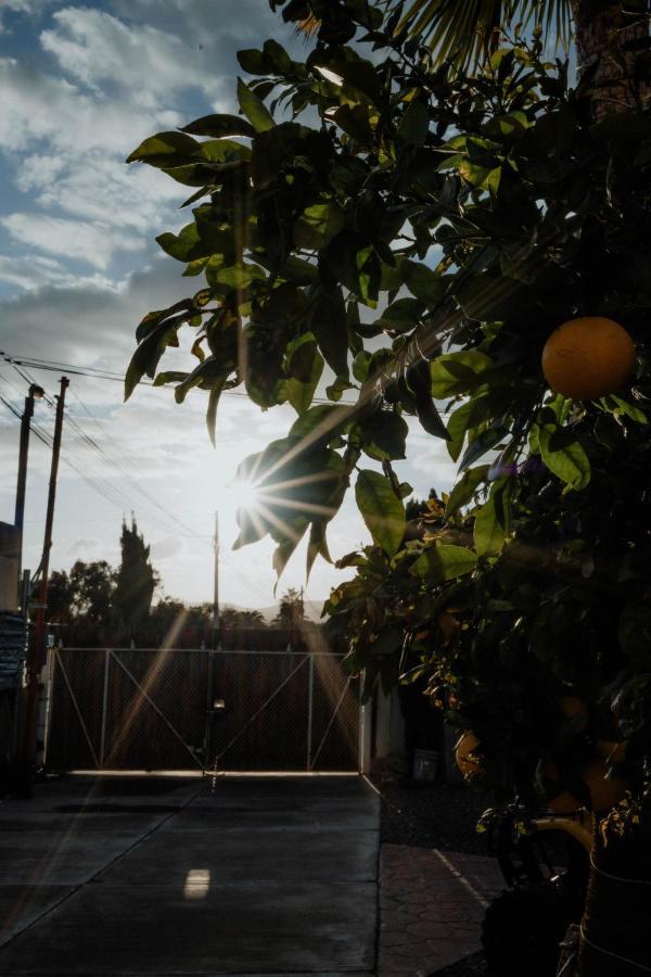Cabana R Y A Valle De Guadalupe Kültér fotó